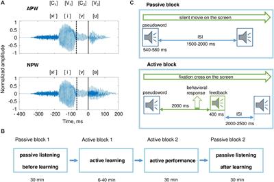 Rapid Cortical Plasticity Induced by Active Associative Learning of Novel Words in Human Adults